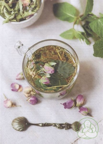 дикий чай. как создать элегантный напиток из растений живой природы,