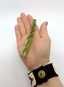 зубровка душистая (sweetgrass), 15 см, moon colibri,